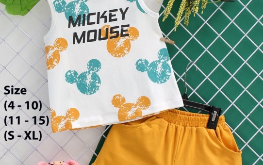 bo sọt mickey mouse (6)